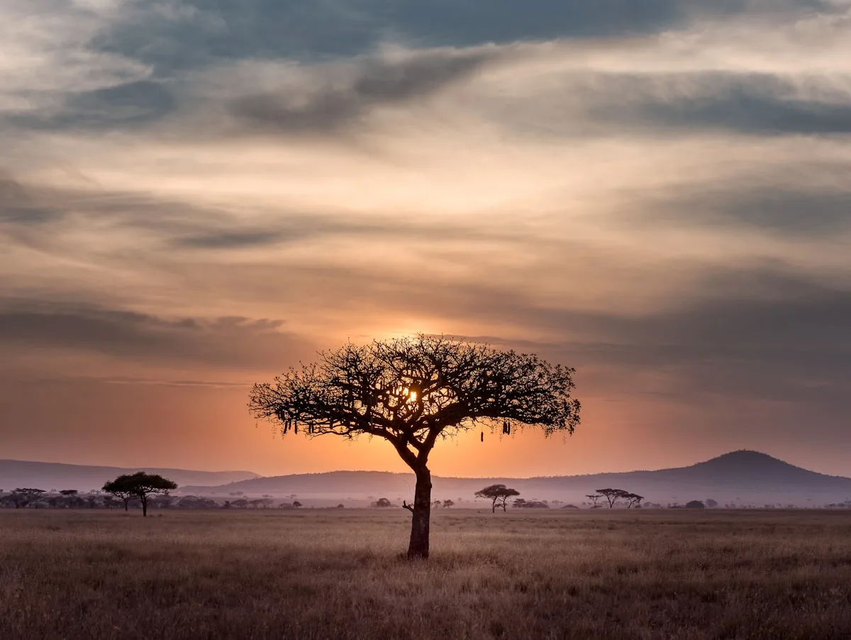 Online Dating in Tanzania: What Nobody Tells You Before You Start